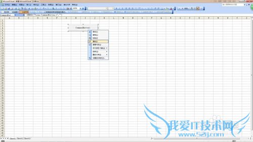 重命名excel中控件的名字