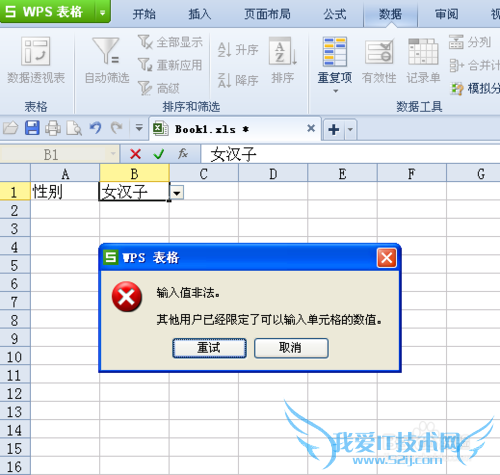如何在WPS表格(EXCEL)的单元格中指定录入内容