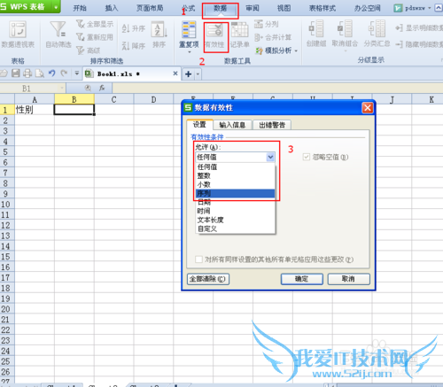如何在WPS表格(EXCEL)的单元格中指定录入内容