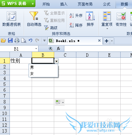 如何在WPS表格(EXCEL)的单元格中指定录入内容