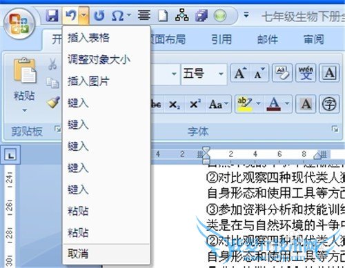 Word2007ٻԭıС