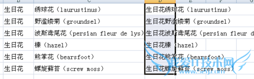 Excel中怎样合并两列表格中的数据