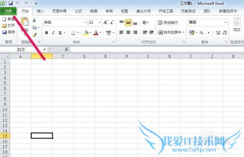 EXCEL2010怎么添加记录单?