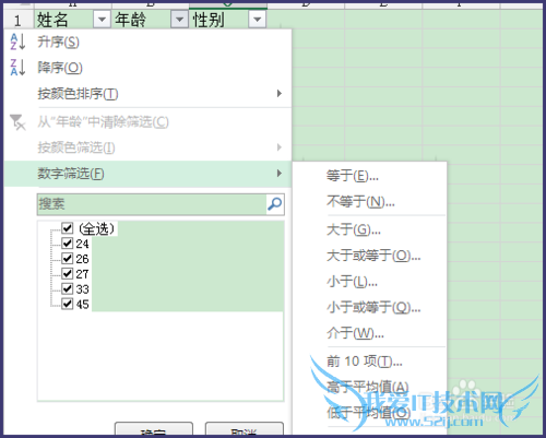 Excel 2013ɸѡÔõôÓÃ