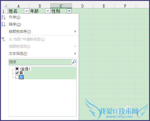 Excel 2013ɸѡÔõôÓÃ