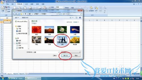 Excel2007в뼰ɾ󱳾