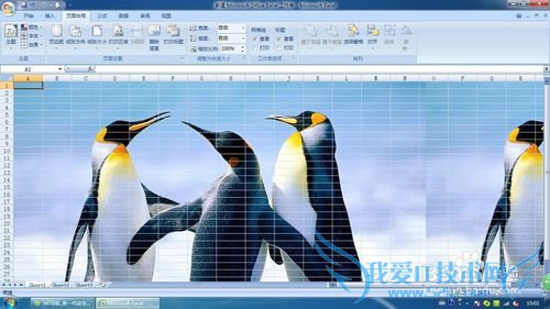 Excel2007в뼰ɾ󱳾