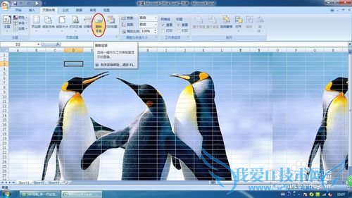 Excel2007в뼰ɾ󱳾