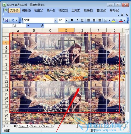 excelͼƬô