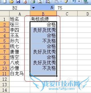 Excel技巧之——自定义数字格式之一