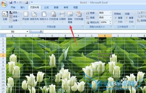 excel表格如何添加背景