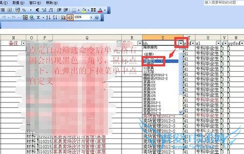 excel中自动筛选自定义用法详细步骤实例
