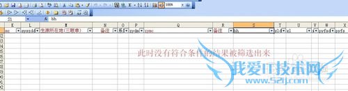 excel中自动筛选自定义用法详细步骤实例