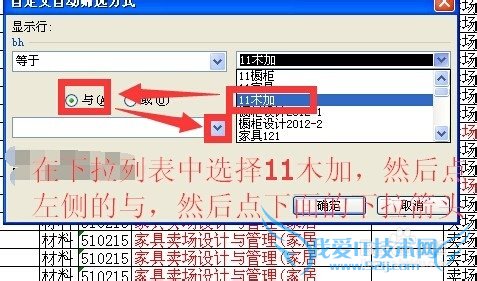 excel中自动筛选自定义用法详细步骤实例