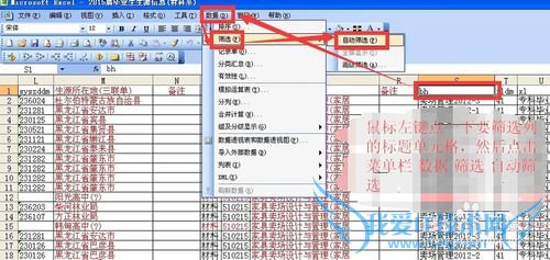 excel中自动筛选自定义用法详细步骤实例