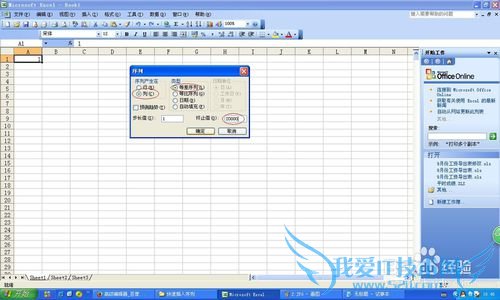 excel2013пУ1-20000