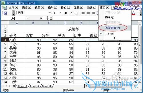 office--Excel2003怎么固定表头呢?