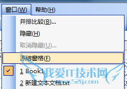 Excel窗口锁定功能