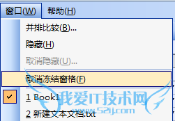 Excel窗口锁定功能