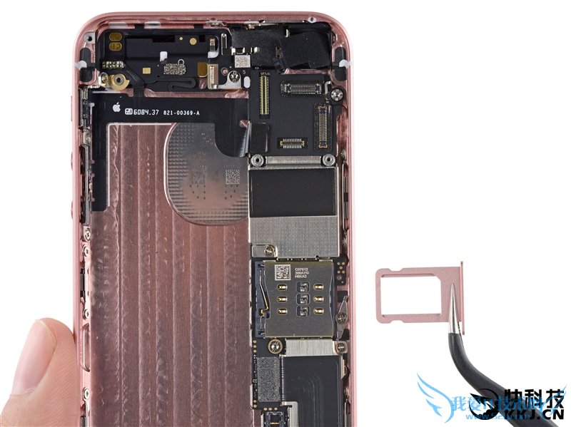 5SºףiPhone SE⣺ƻ̫͵