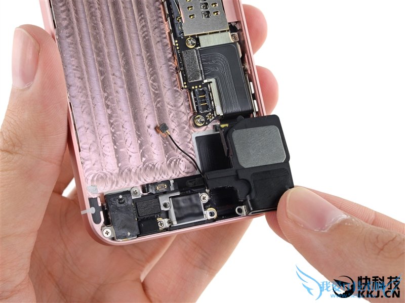 5SºףiPhone SE⣺ƻ̫͵