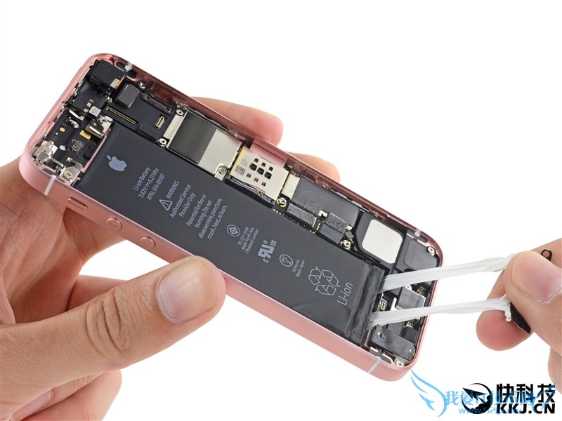 5SºףiPhone SE⣺ƻ̫͵