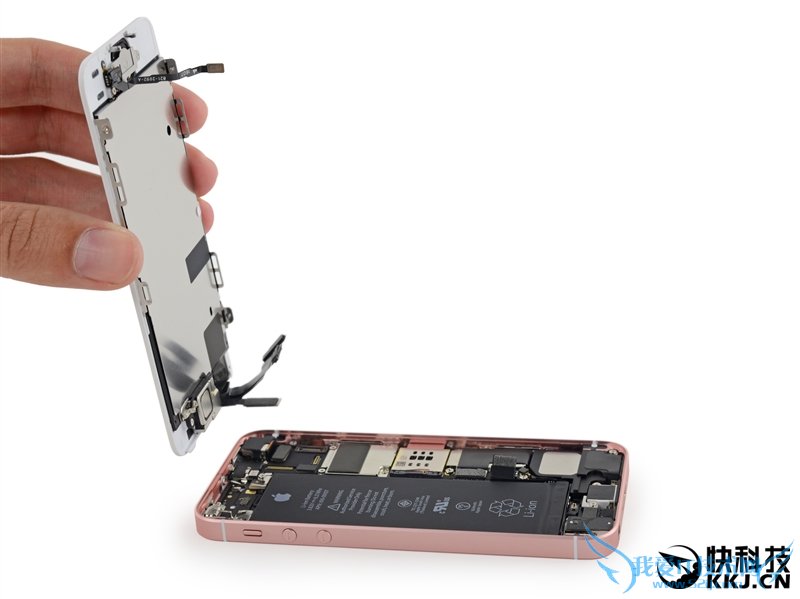 5SºףiPhone SE⣺ƻ̫͵