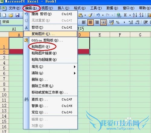 将Excel 表格粘贴为图片