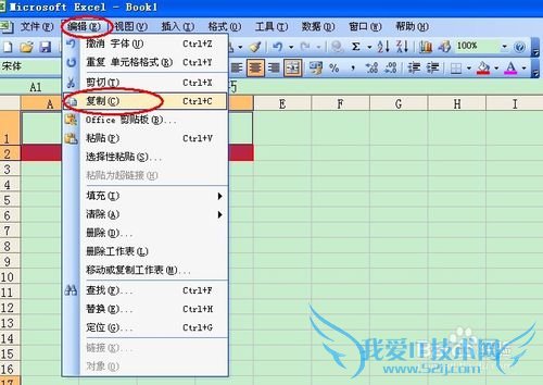 将Excel 表格粘贴为图片