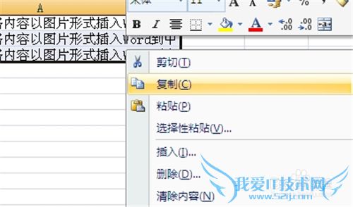 νExcel2007ͼƬʽ뵽Word