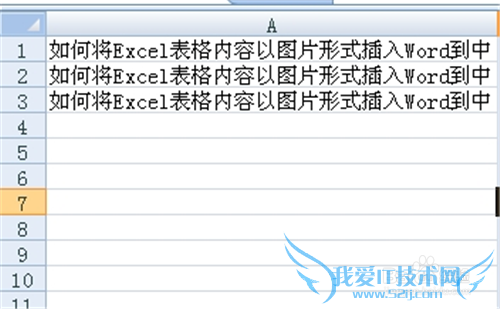 νExcel2007ͼƬʽ뵽Word