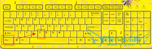 怎样能快速复制粘贴