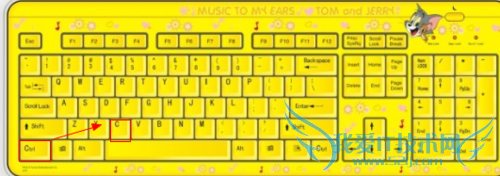 怎样能快速复制粘贴