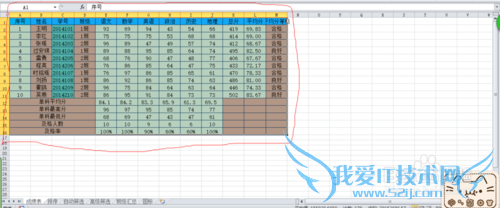 EXCEL的成绩表中分类汇总??