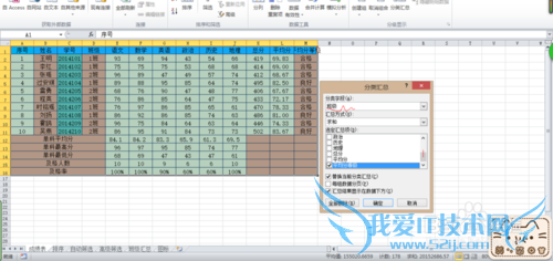 EXCEL的成绩表中分类汇总??