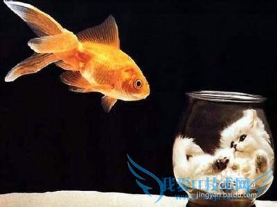 Excel中快速输入批量时间