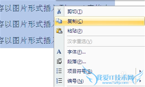 如何将Word2007内容以图片形式插入到Excel中