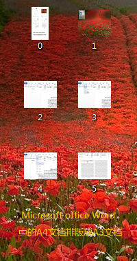 Microsoft office Word中的A4文档排版成A3文档