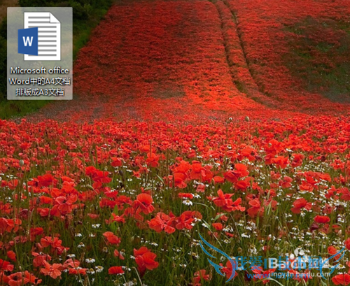 Microsoft office Word中的A4文档排版成A3文档