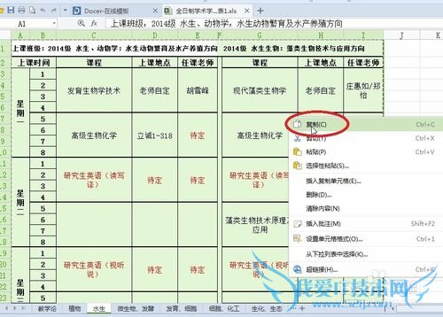 如何将excel的内容转换为图片?