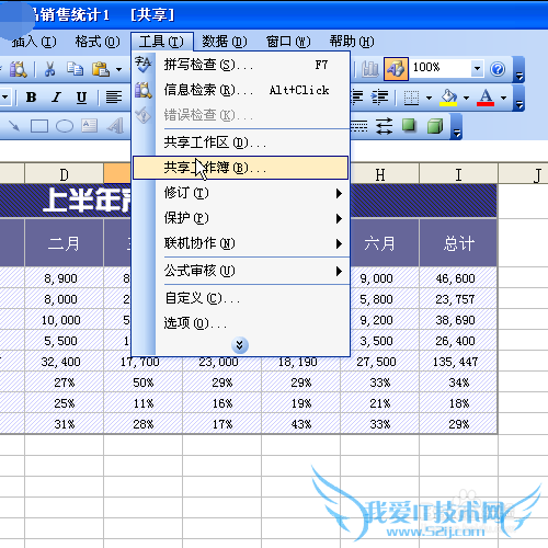 怎样对共享工作簿设置密码保护
