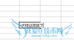 EXCELFREQUENCYʹ