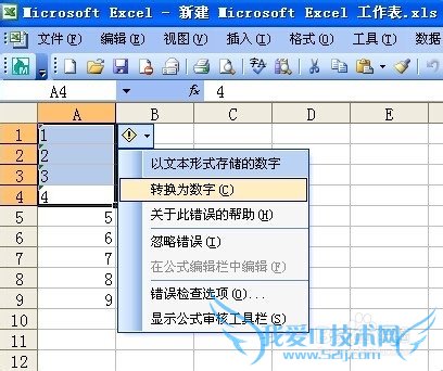 νExcel WPSеת֣2ַʽ