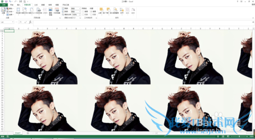 Excel2013ν뱳ѱӰӡ