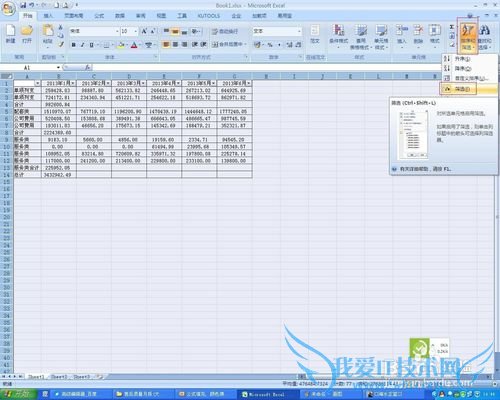 Excel 2007公式填充,颜色筛选粘贴公式不变常量
