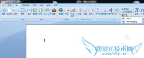 word 如何插入excel、word、ppt、dwg等文件