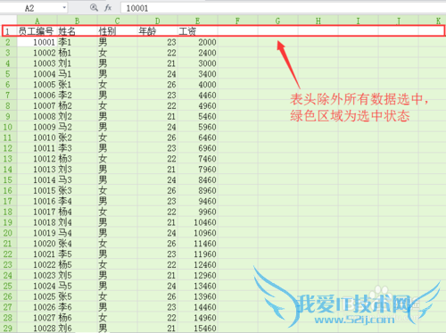 excle给每行数据添加表头