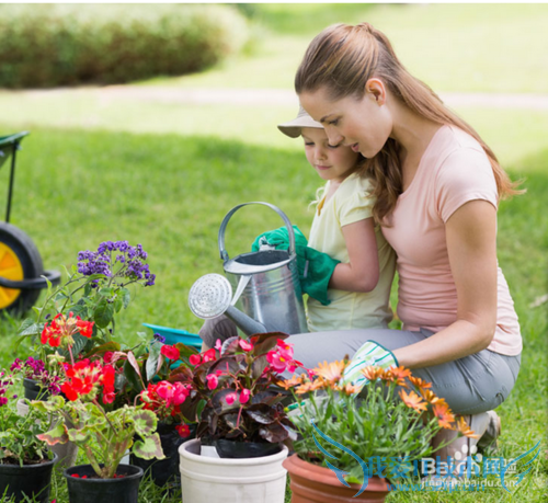 上班族要注意的方面