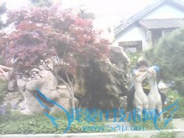 禅院之行——安山寺