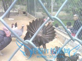 禅院之行——安山寺